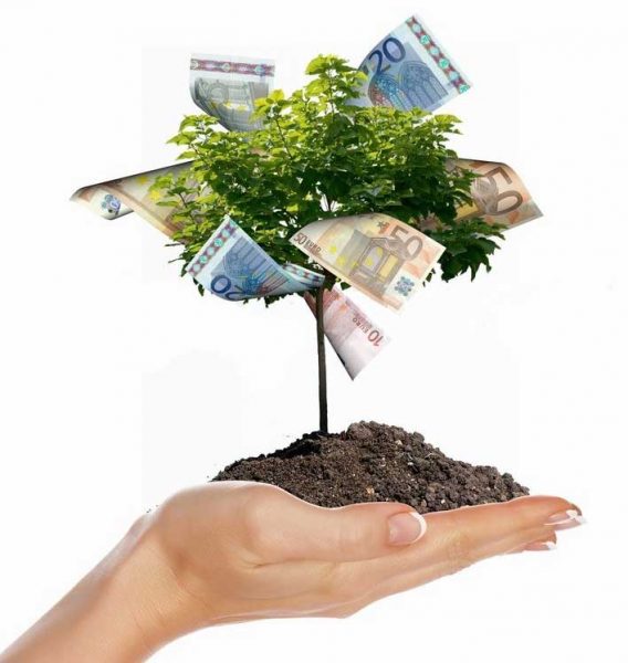 ¿Como financiar mi Pyme? Subvenciones y ayudas para Pymes Arbol dinero subvenciones - ¿Como financiar mi Pyme? Subvenciones y ayudas para Pymes