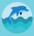 ¿dónde nadar con delfines en España - Tendencias del Turista Español para el verano