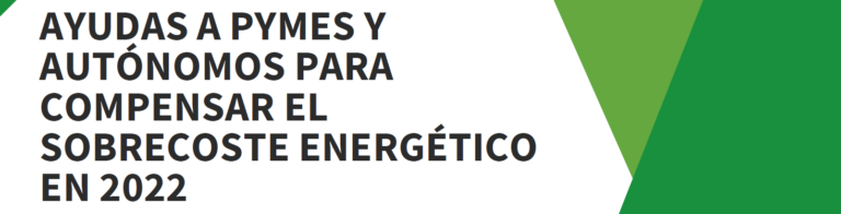 Subvenciones Para Autónomos Y Pymes Para Compensar El Sobrecoste