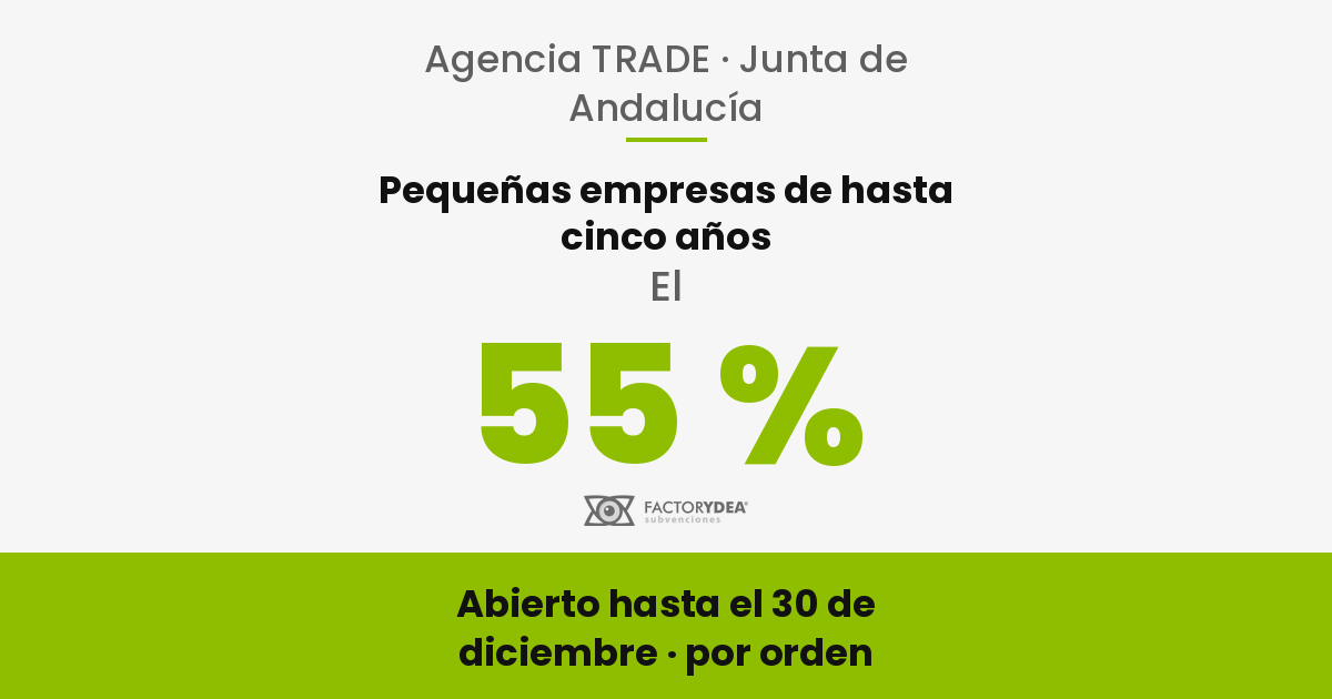 Subvenciones y ayudas ayudas trade puesta en marcha pequenas empresas andalucia 3 - Subvenciones y ayudas