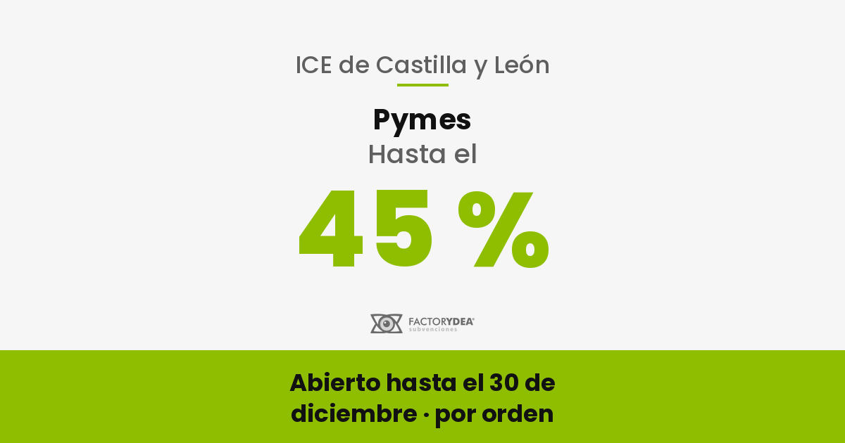 ayudas inversion empresarial castilla y leon 2026 - Subvenciones y ayudas para empresas y aut&oacute;nomos